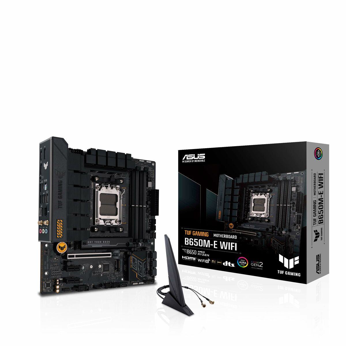 Motherboard Asus AMD AM5 AMD AMD B650