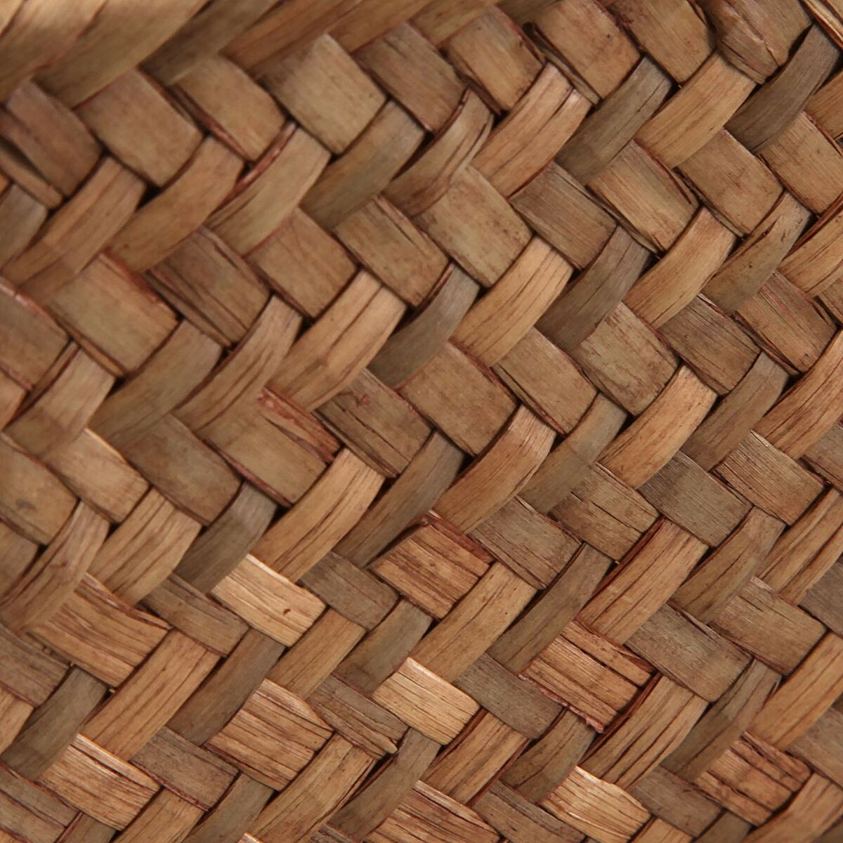 Basket set Versa Marine algae 20 x 12 x 30 cm