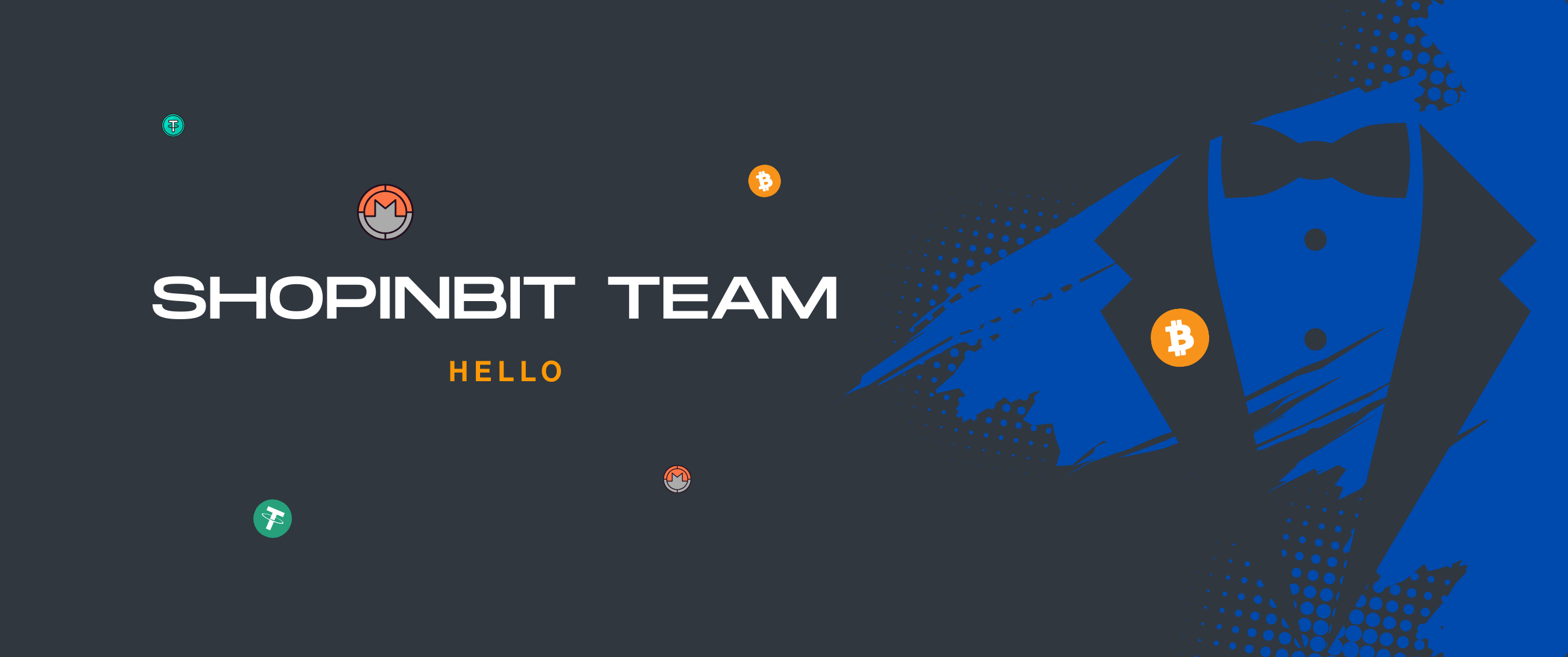 Shopinbit-Team-Final