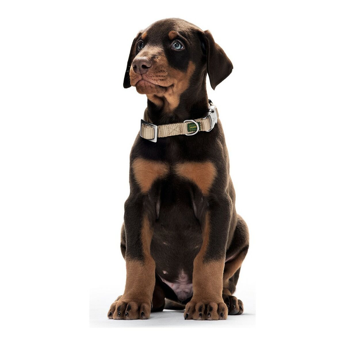 Dog collar Hunter Alu-Strong Brown Size M (40-55 cm)