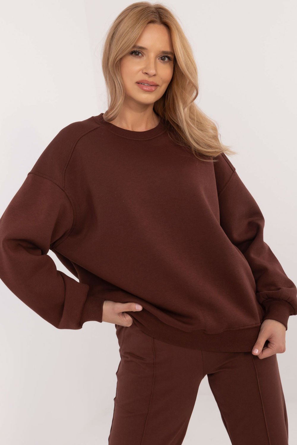  Sweatshirt model 204415 Factory Price  brown