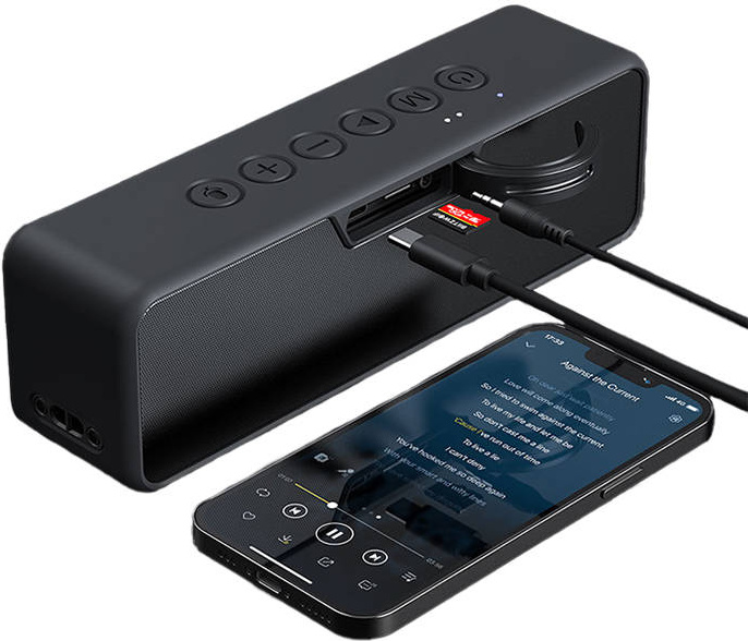 Bluetooth speaker Blitzwolf BW-WA4 30W 4000mAh