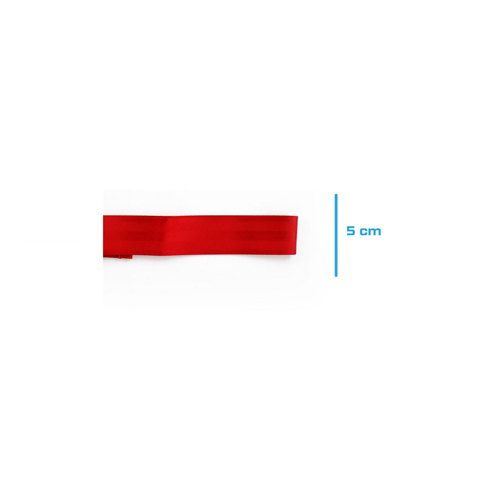 Tow Tape SCHROTH RACING SH90373 400 mm 1800 Kg Red 100 mm 7/16"