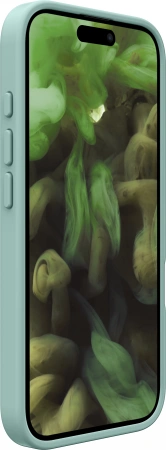 Laut Huex Protect Apple iPhone 16 Pro MagSafe (silt green)